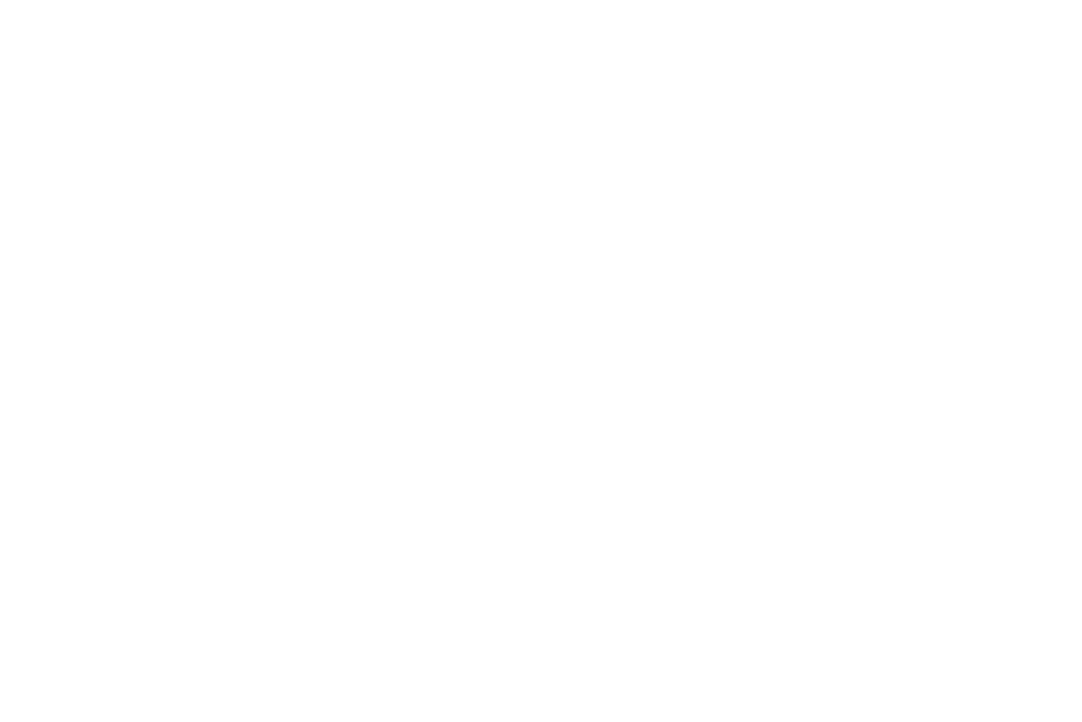 synergetix logo
